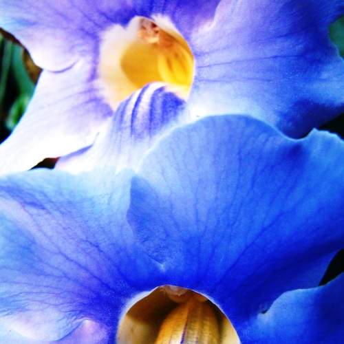 Photo #12438127