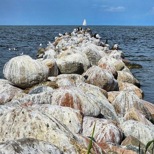 Photo #12438370
