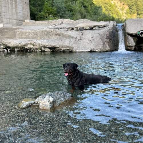 Photo #12438394