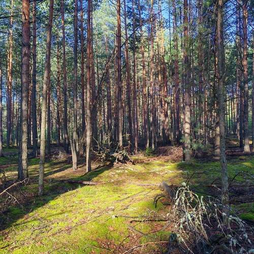 Photo #12438599