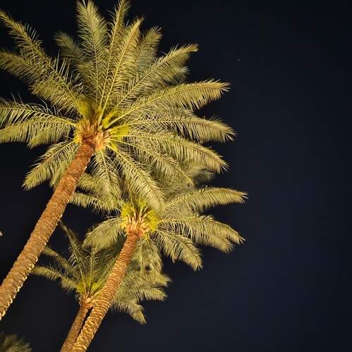 Photo #12438683