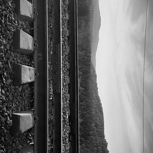 Photo #12438877