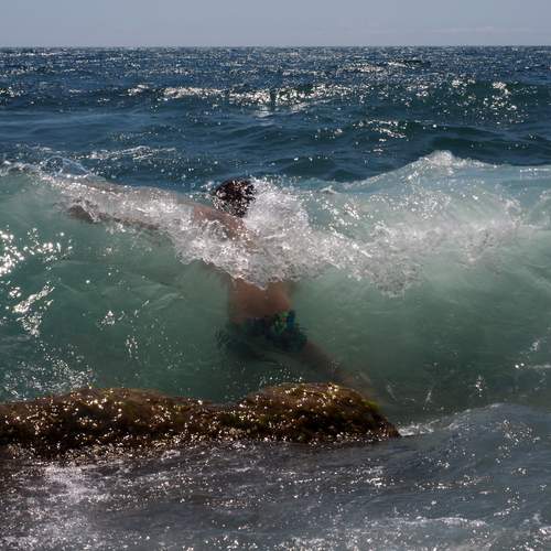 Photo #12439015