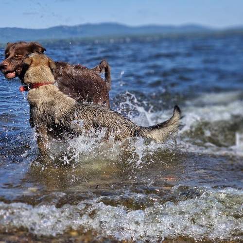 Photo #12439068