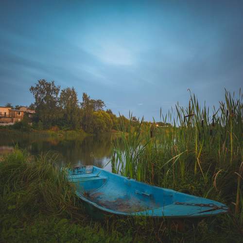 Photo #12439157