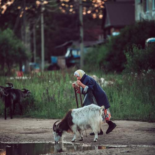 Photo #12439192