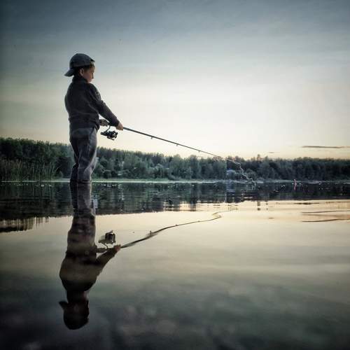 Photo #12439257