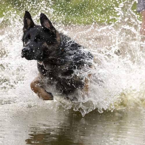Photo #12439286
