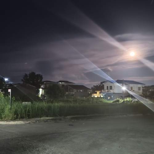 Photo #12439790
