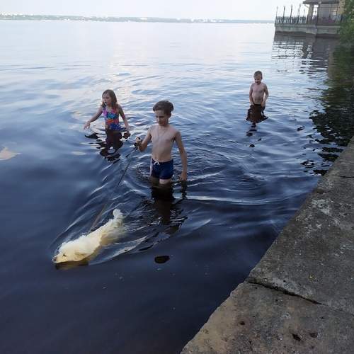 Photo #12439857