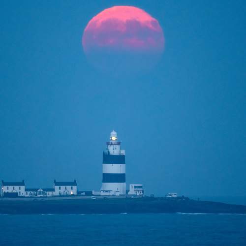 Photo #12440252