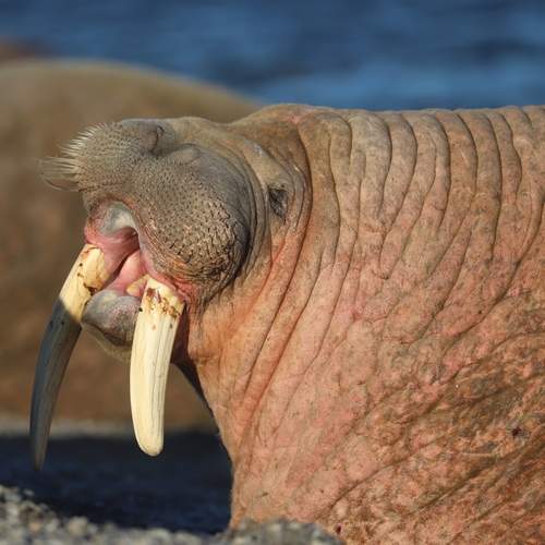 Photo #12440269