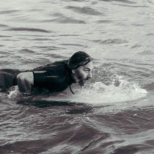 Photo #12440445