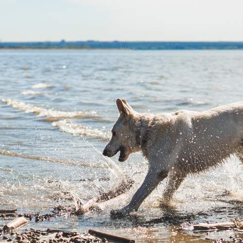 Photo #12440479