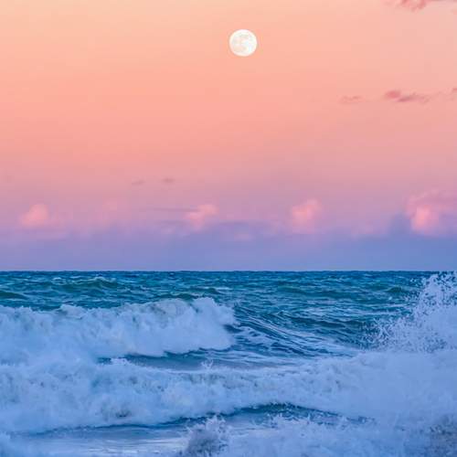 Photo #12440549