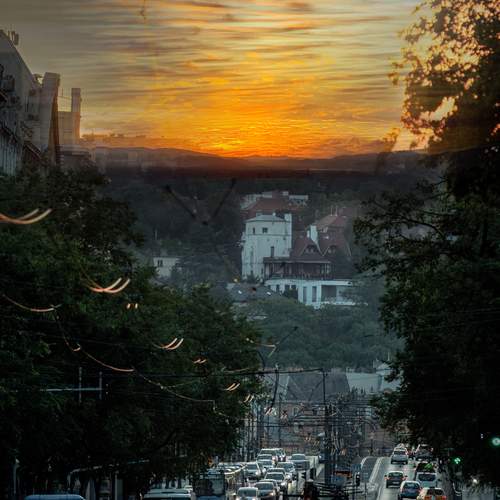Photo #12440736