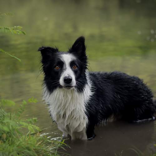 Photo #12440838