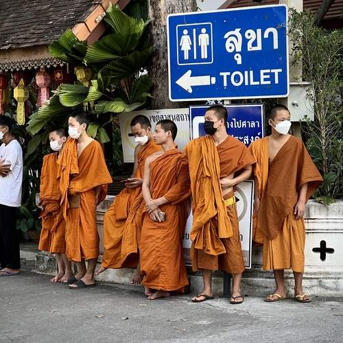 Photo #12440841