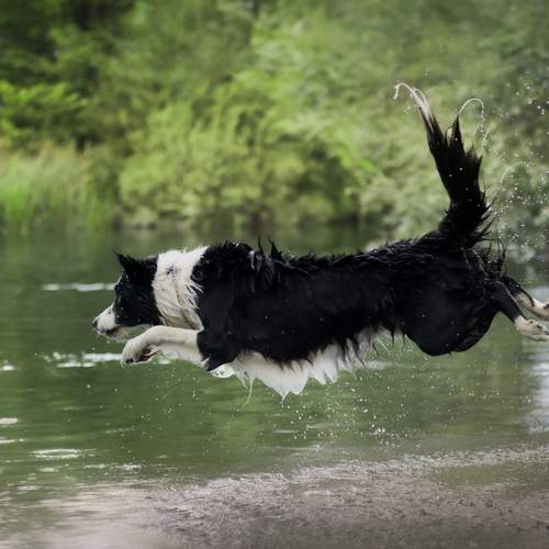 Photo #12440842