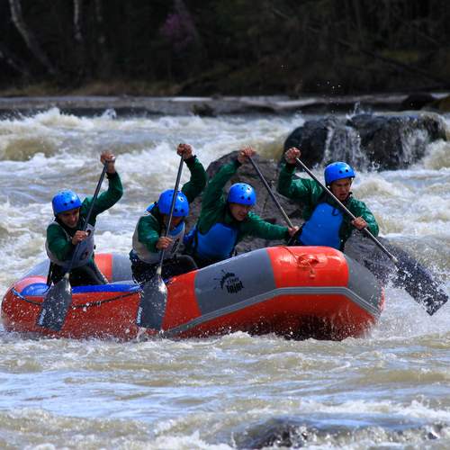 Photo #12441319