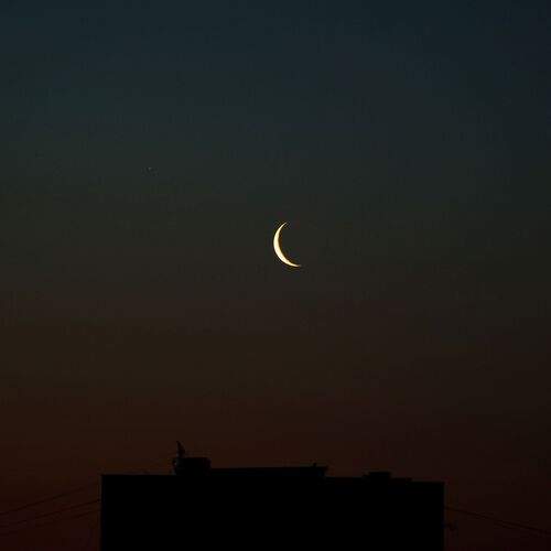 Photo #12442042