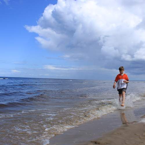 Photo #12442091