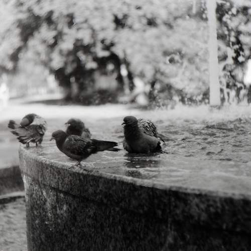 Photo #12442778