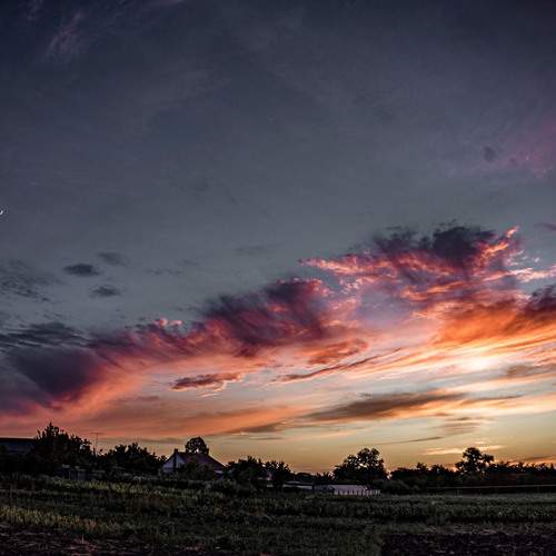 Photo #12443089