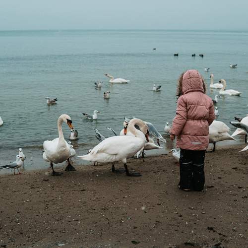 Photo #12443237