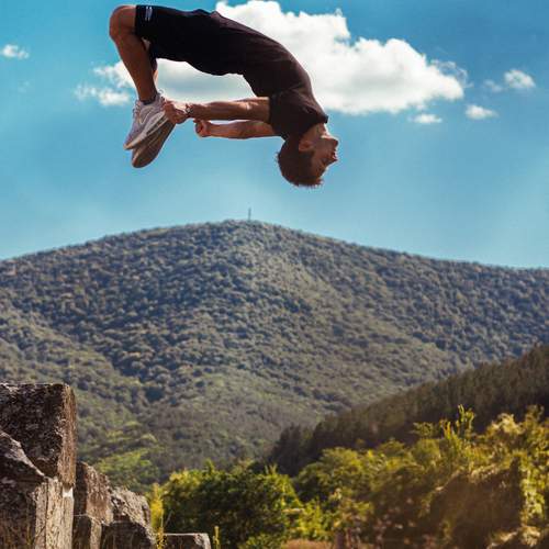 Photo #12443278