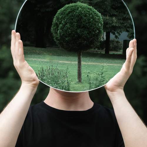 Photo #12444071