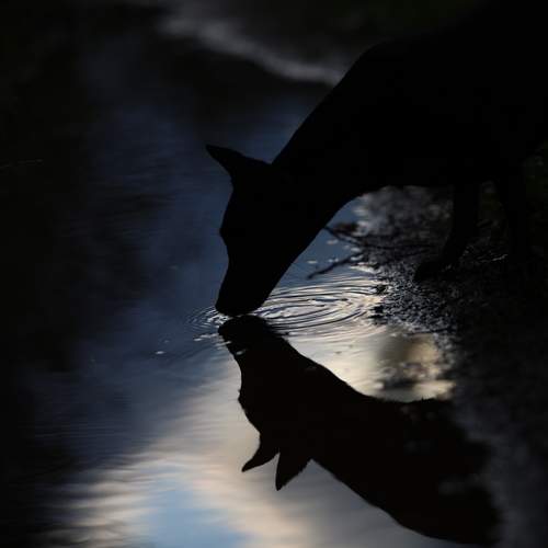 Photo #12444081