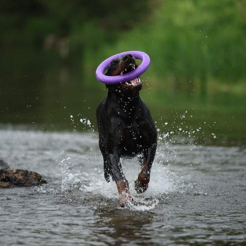 Photo #12444154