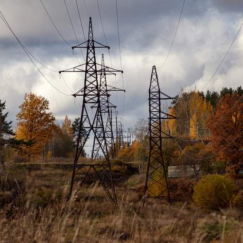 Photo #12444161