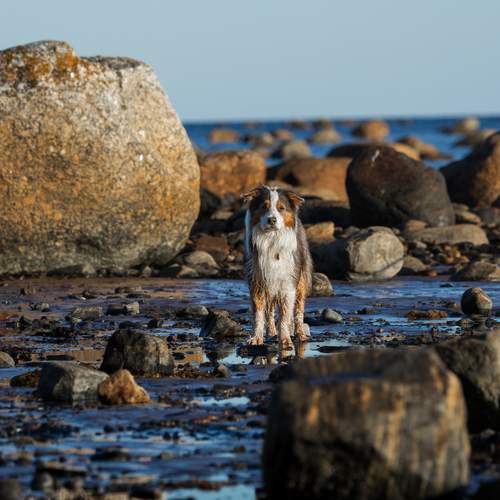 Photo #12444823