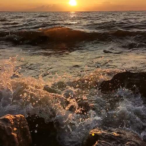 Photo #12444973