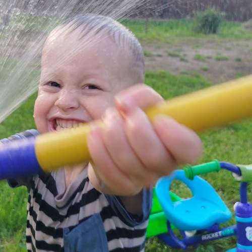 Photo #12445646