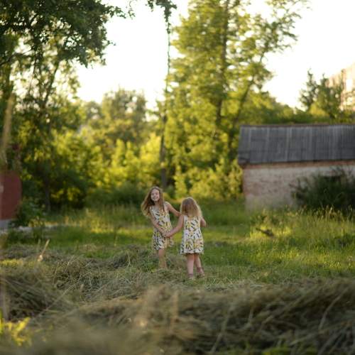 Photo #12446039