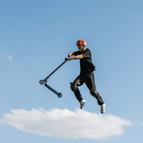 Photo #12446510
