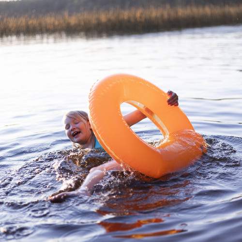 Photo #12446603