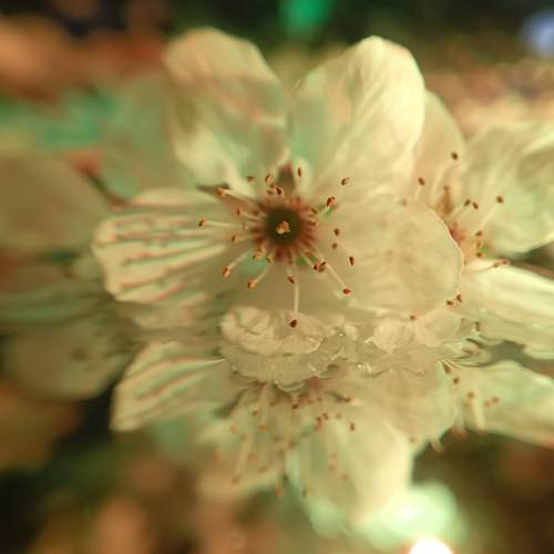 Photo #12446839