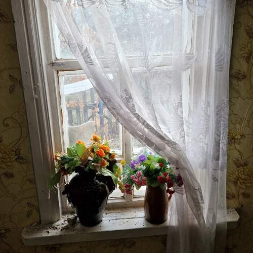 Photo #12446863