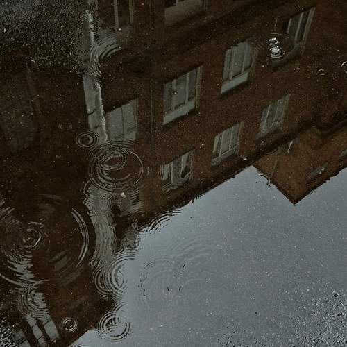 Photo #12446890