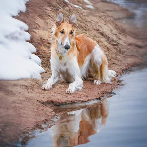 Photo #12446945