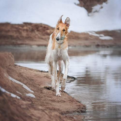Photo #12446948