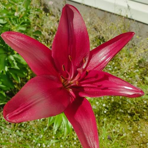 Photo #12446978