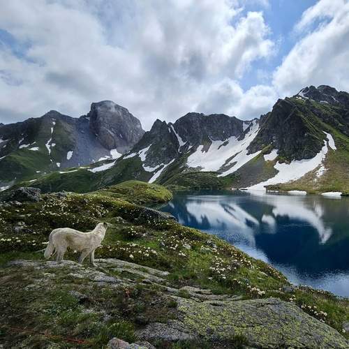 Photo #12447007