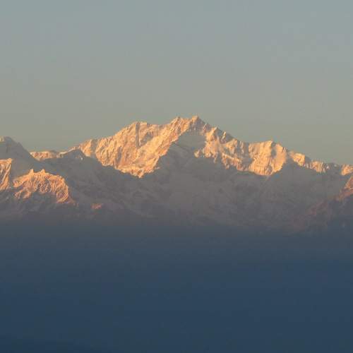 Photo #12447313