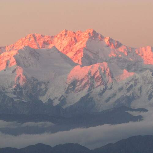 Photo #12447315