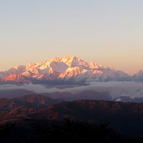 Photo #12447316